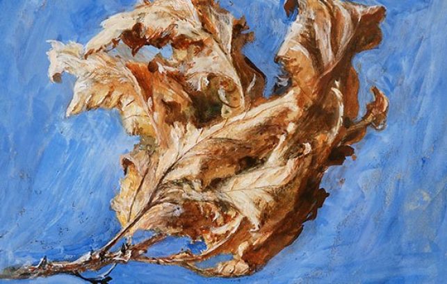 Painting of Dead Oak Leaves by John Ruskin