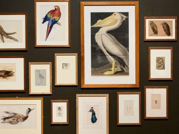 John Ruskin exhibition 1
